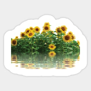 Aquatic Sunflower Garden Sticker